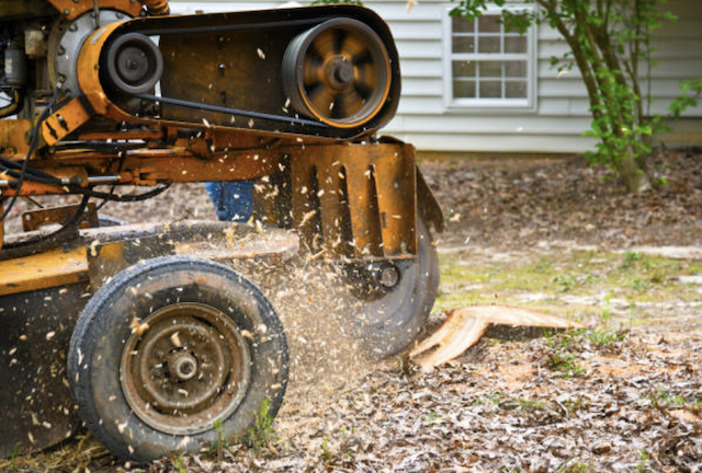 stump grinding oakland mi